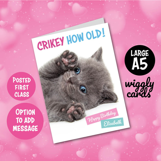 Sweet fluffy kitten birthday card