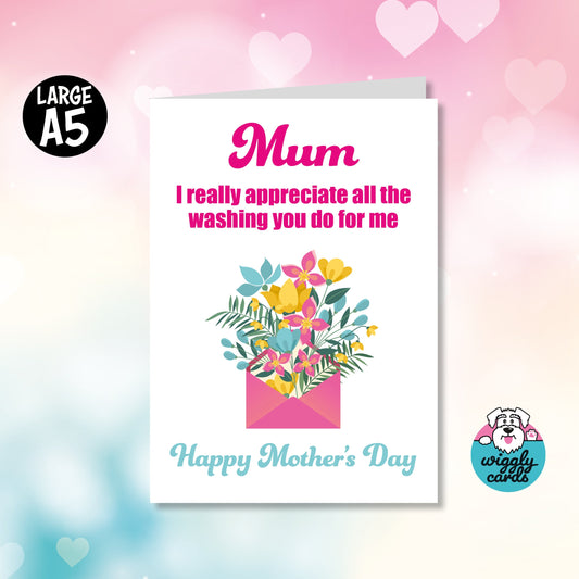 Appreciate all the washing you do mothers day card